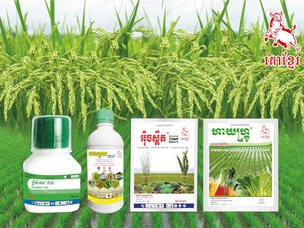 Construction Chemicals Solutions