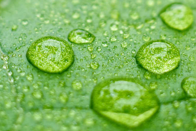Dynamic Chemicals